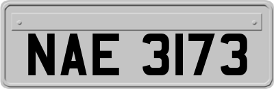 NAE3173