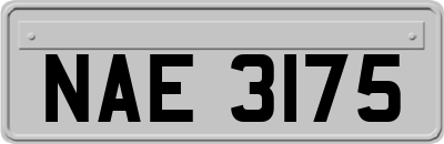 NAE3175