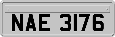 NAE3176
