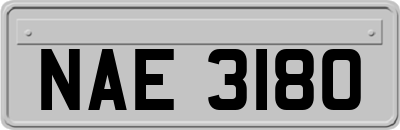 NAE3180