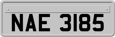 NAE3185