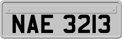 NAE3213