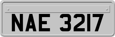 NAE3217