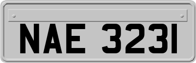 NAE3231