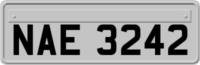 NAE3242