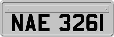 NAE3261