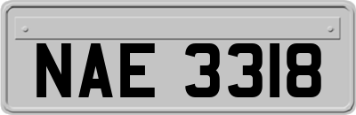 NAE3318