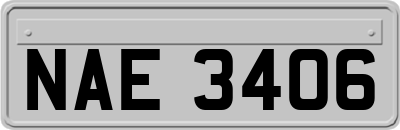 NAE3406