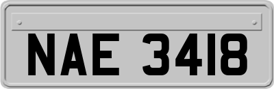 NAE3418