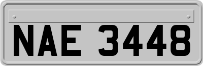 NAE3448