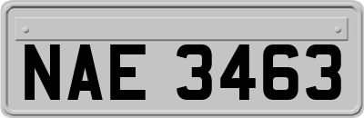 NAE3463