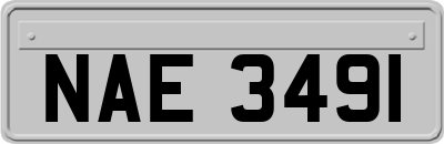 NAE3491