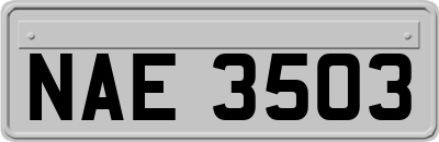 NAE3503