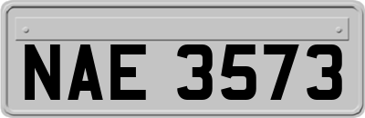 NAE3573