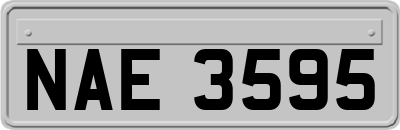 NAE3595