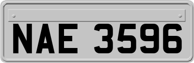 NAE3596