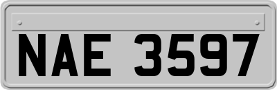 NAE3597