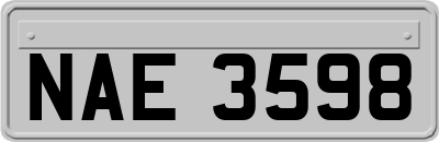 NAE3598