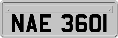 NAE3601