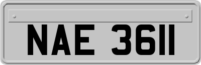 NAE3611