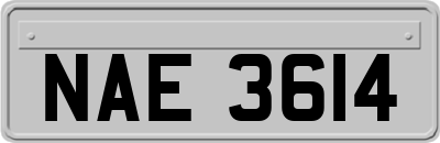 NAE3614