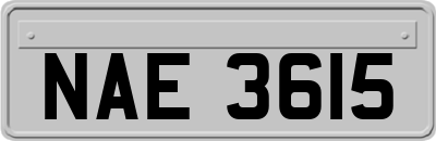 NAE3615