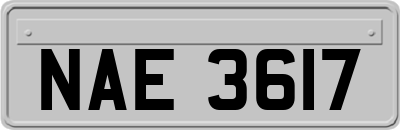 NAE3617