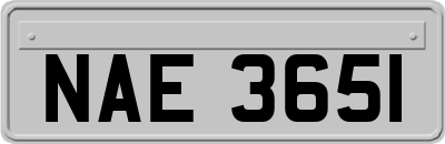 NAE3651