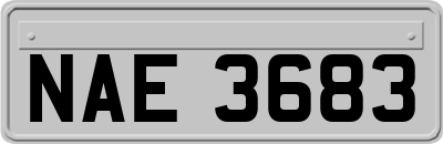 NAE3683