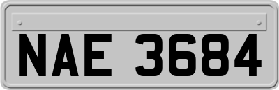 NAE3684