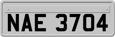 NAE3704