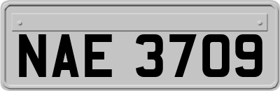 NAE3709