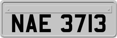 NAE3713