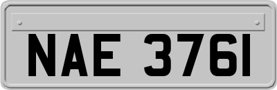 NAE3761