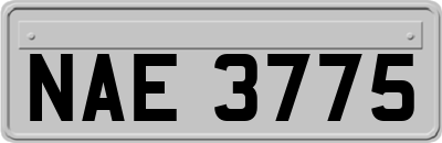 NAE3775