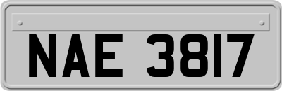 NAE3817