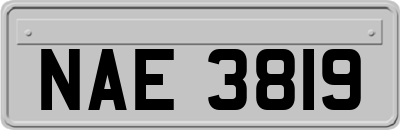 NAE3819