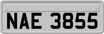 NAE3855