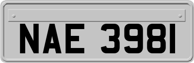 NAE3981