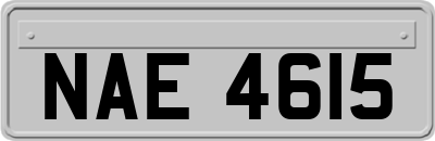 NAE4615