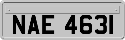 NAE4631