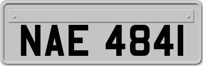 NAE4841