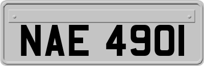 NAE4901