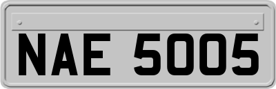 NAE5005