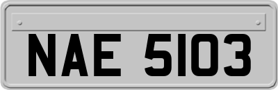 NAE5103