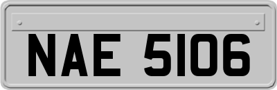 NAE5106
