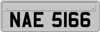 NAE5166