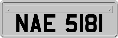 NAE5181