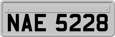 NAE5228