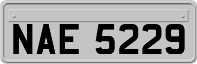 NAE5229